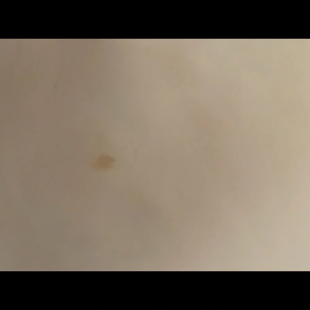 Gucci Supreme Canvas Hobo Bag Two Way Chain - Picture 14 of 16